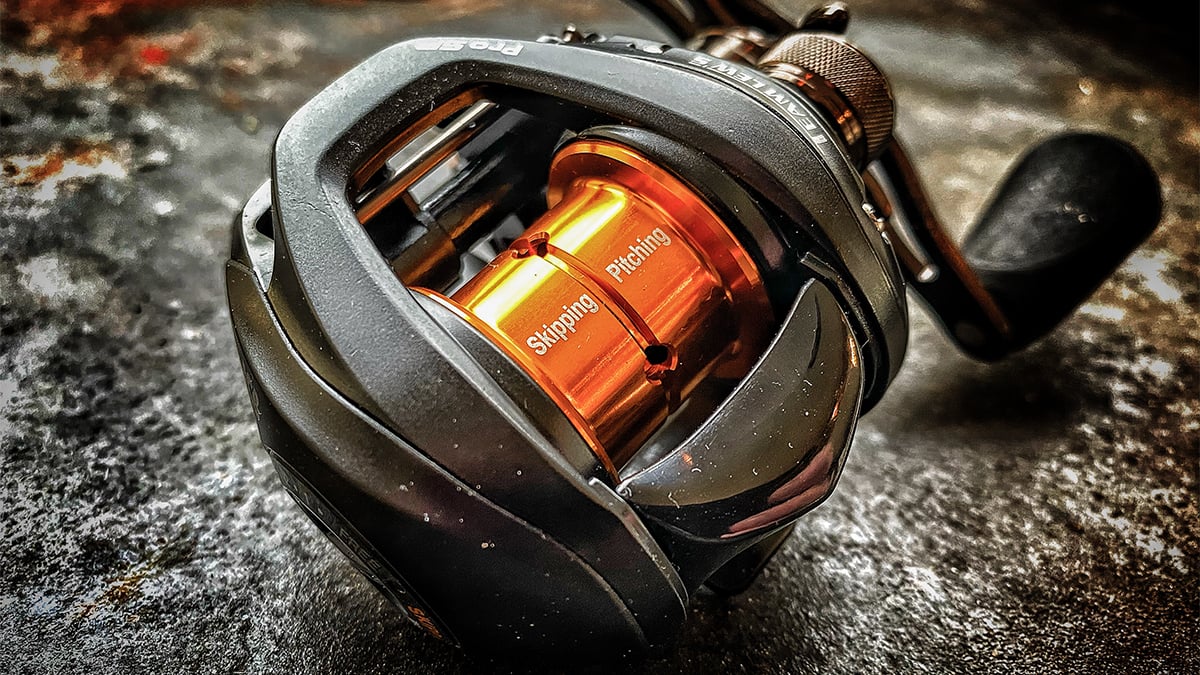bass fishing reel