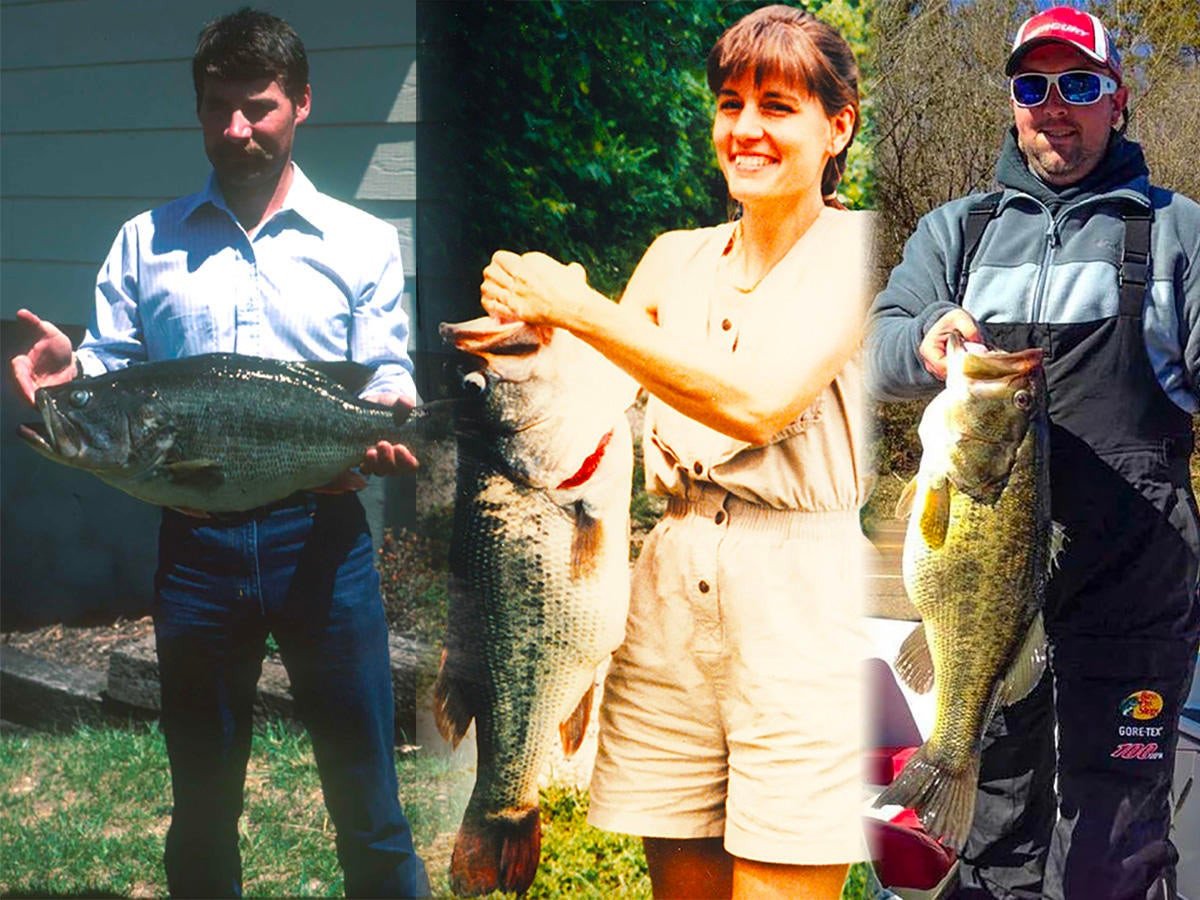 state record bass