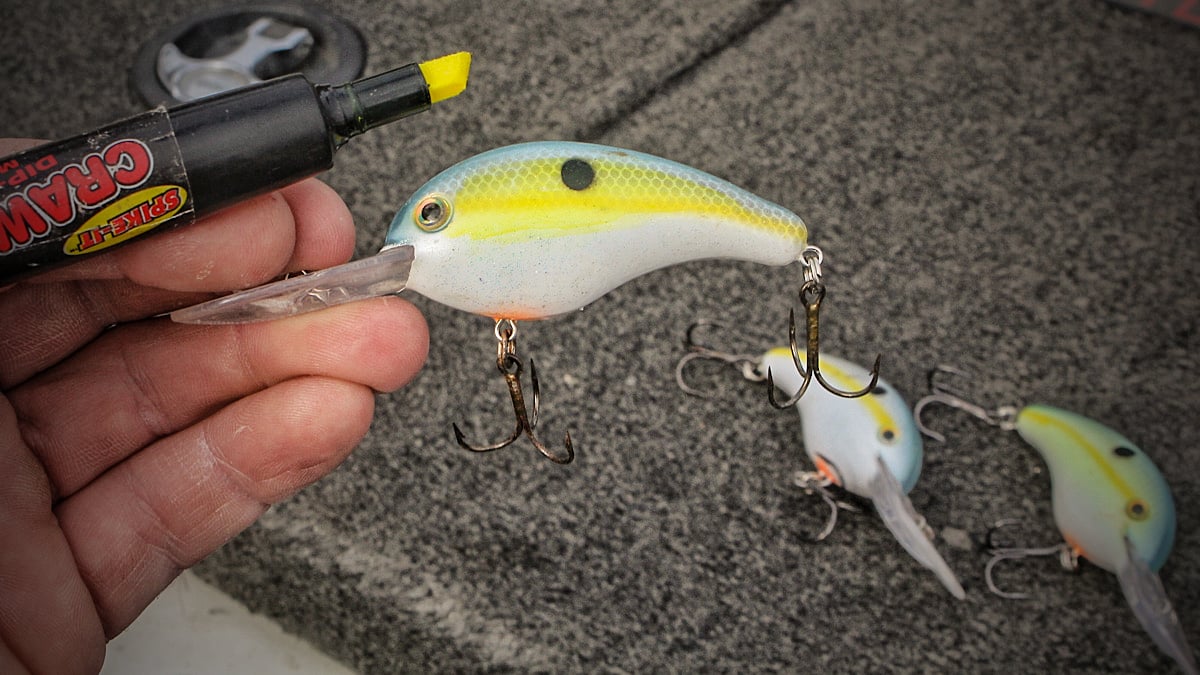 bass fishing crankbait