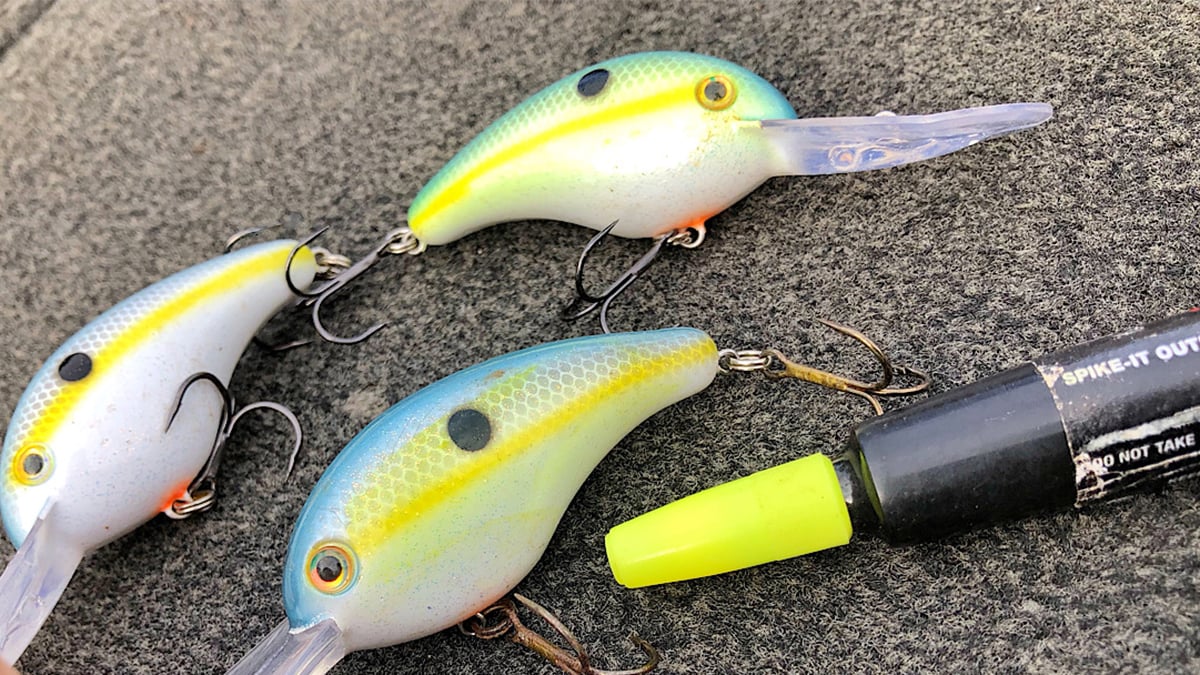 bass fishing crankbaits