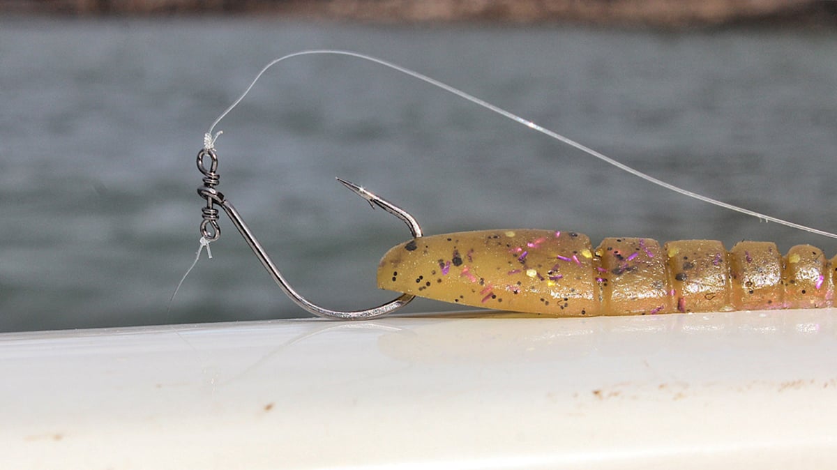 finesse worm on bass fishing drop shot hook