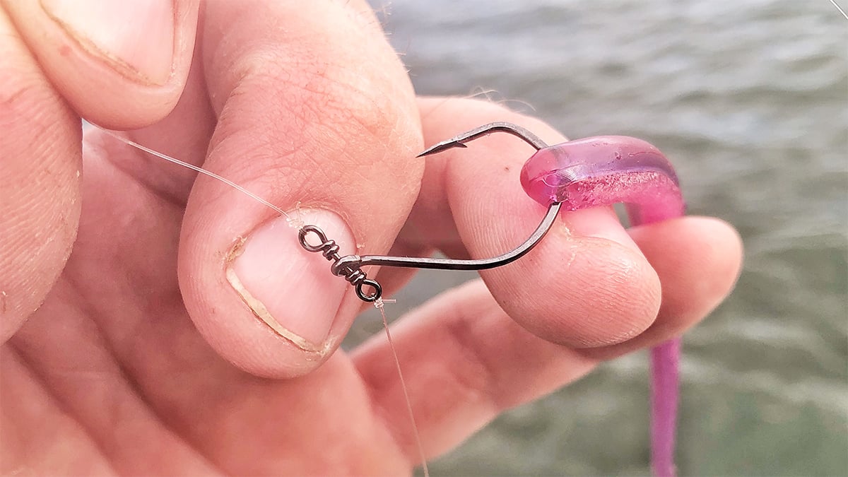 finesse bass fishing worm on a drop shot hook