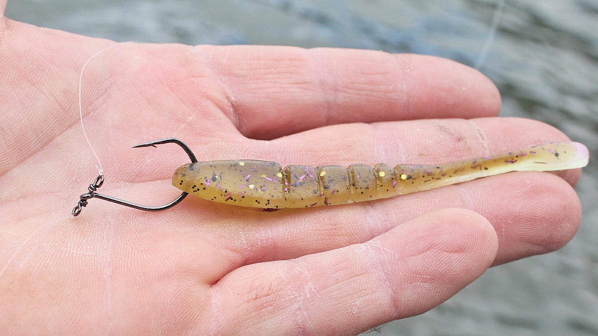 bass fishing drop shot in hand