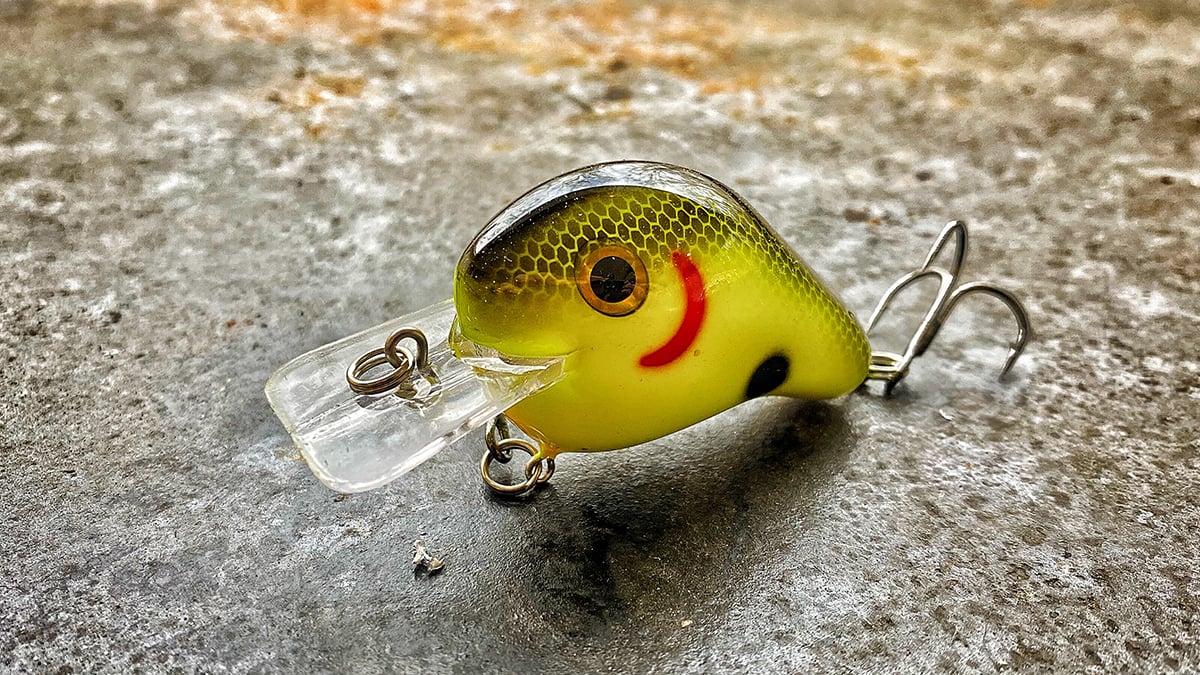 bass fishing crankbait