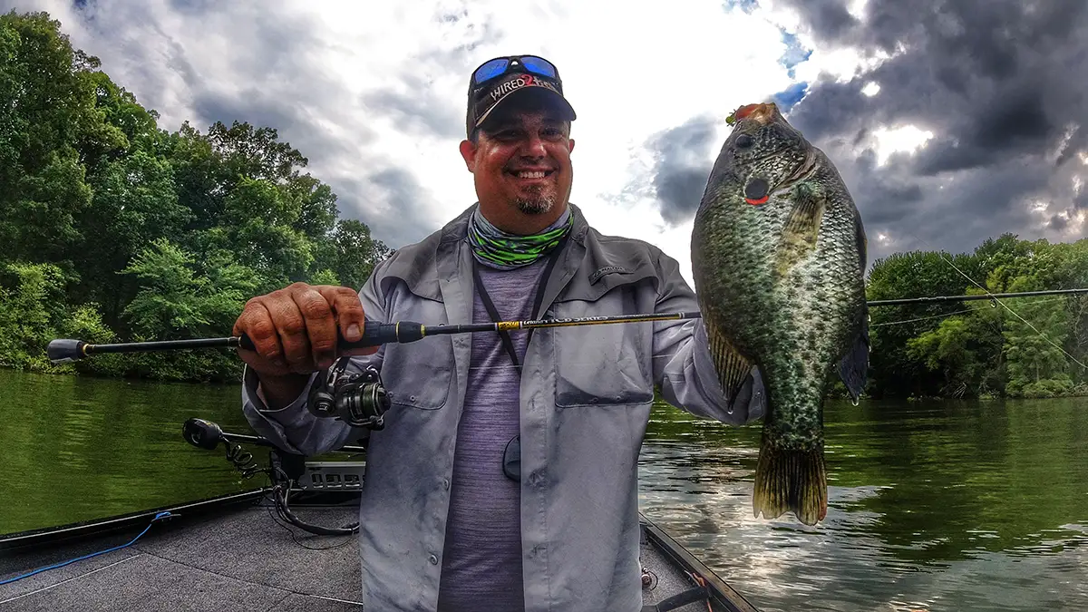 bnm tcb trout crappie panfish rod 