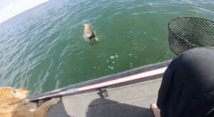 Possible World Record Mean Mouth Caught in Texas