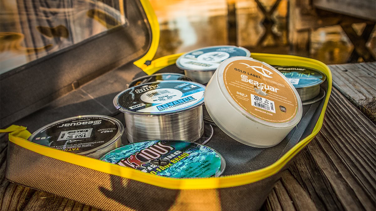 bass fishing line in a tackle bag