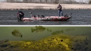 Jerkbait Fishing Ditches for Early Prespawn Bass