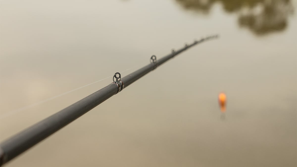 bass fishing rod