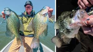 How to Catch Crappies on Jigs Around Trees
