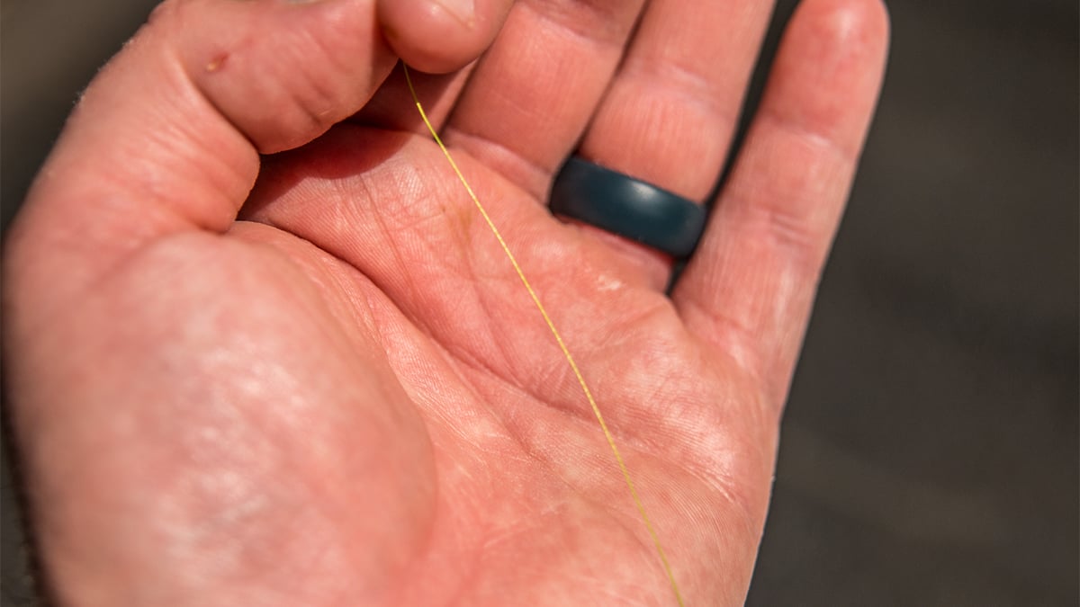 bright fishing line