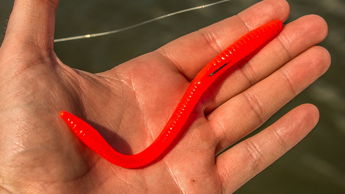 bass fishing worm in hand