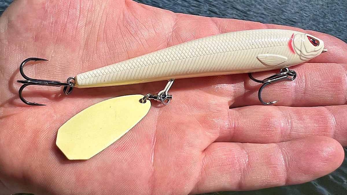 topwater bass fising lure in hand