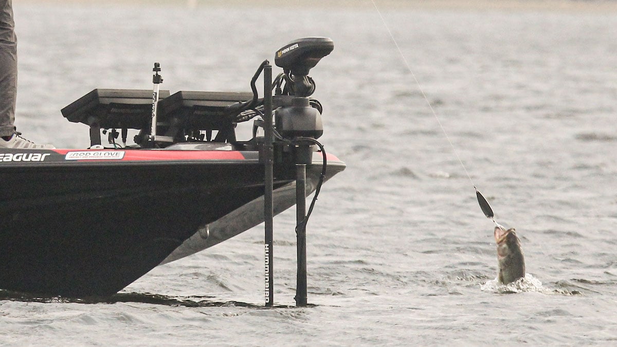 bass jumping with flutter spoon in mouth