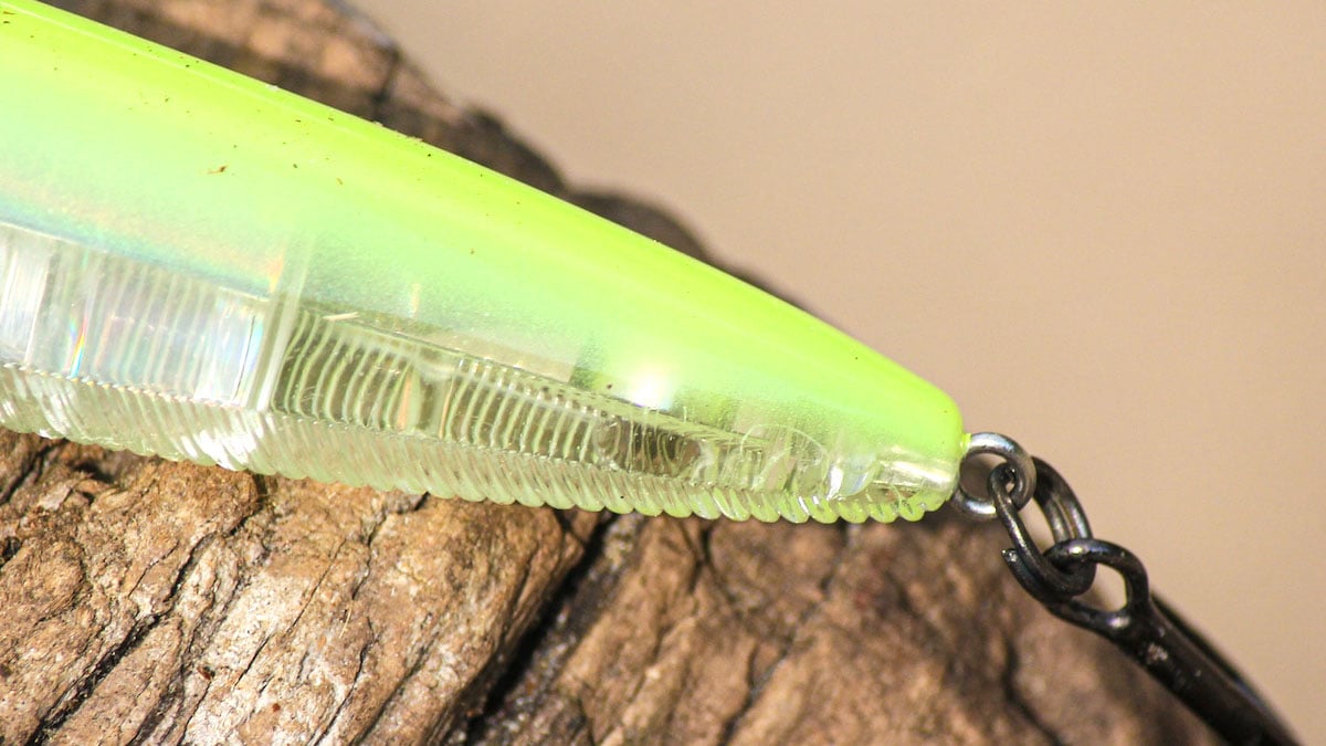 back end of bass fishing topwater