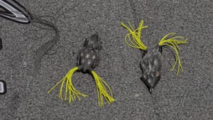 2 Hollow Body Frog Tips to Catch More Bass