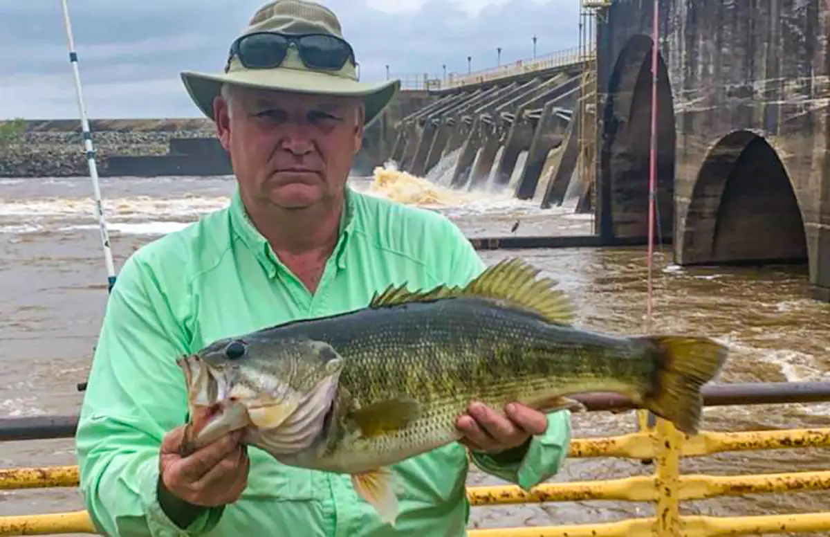 georgia record shoal bass