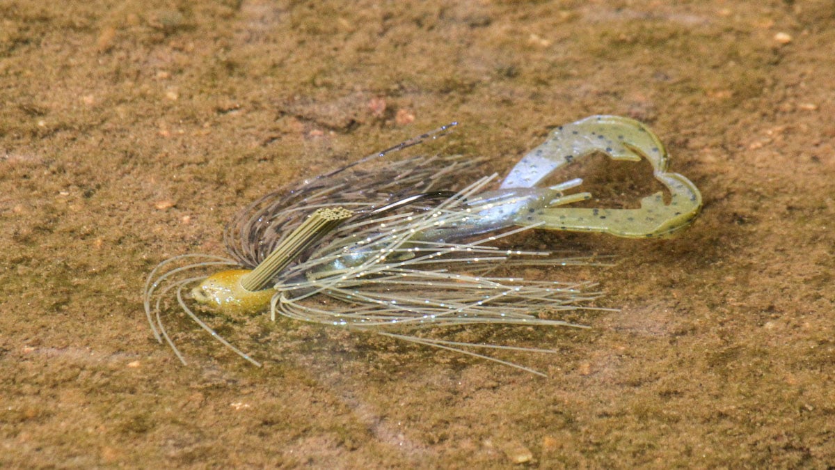 bass fishing jig in water