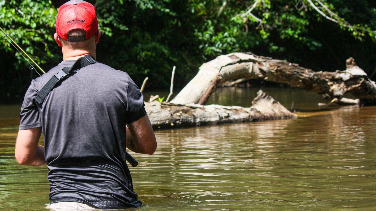 fisherman fishing tree in creek