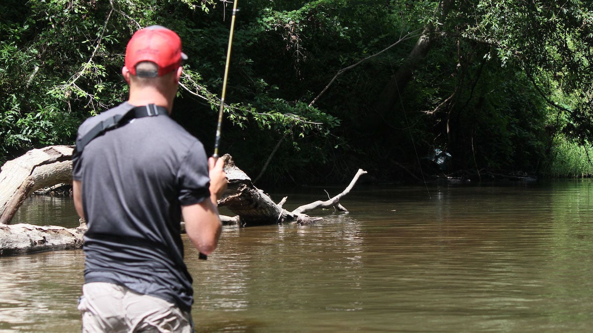 fisherman wade fishing in creek