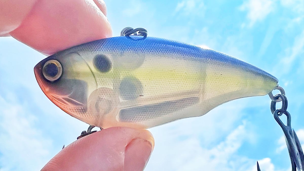 internal weights of bass fishing lipless crankbait