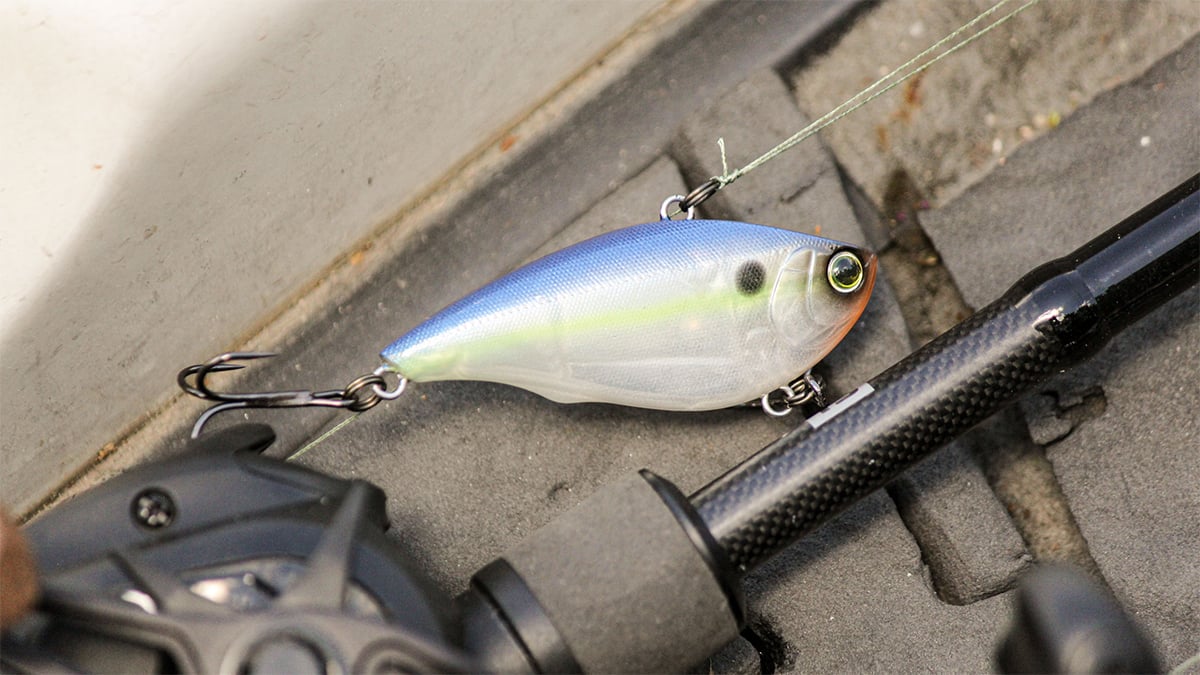 lipless crankbait for bass fishing