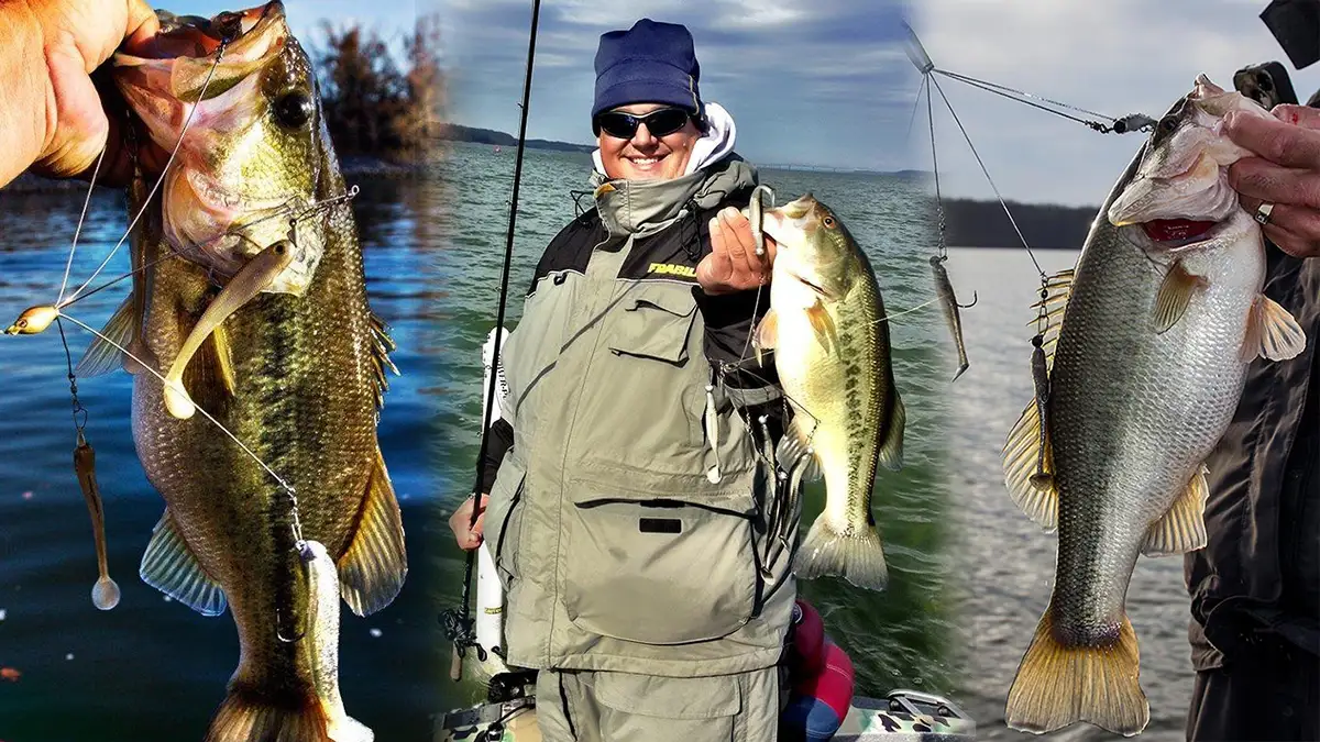 Alabama Rig bass in the winter