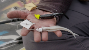 Top 3 Buzzbait Trailers for Year-Round Success