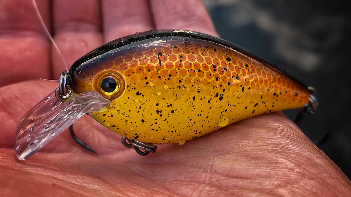 bass fishing crankbait in hand