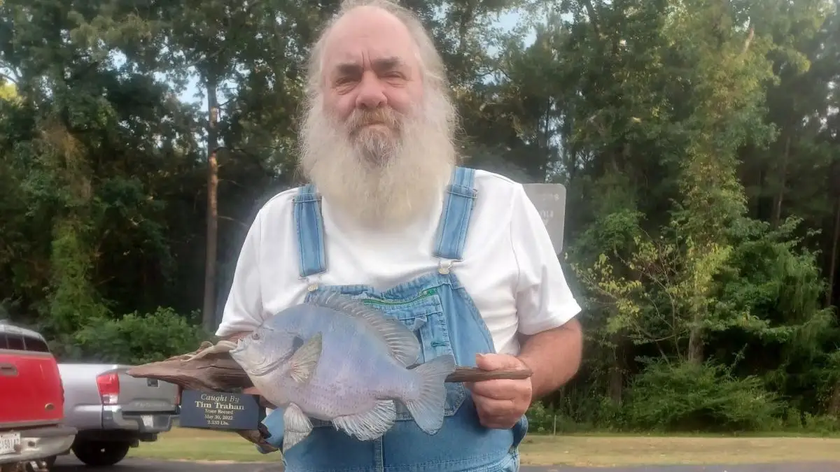 louisiana state record bluegill