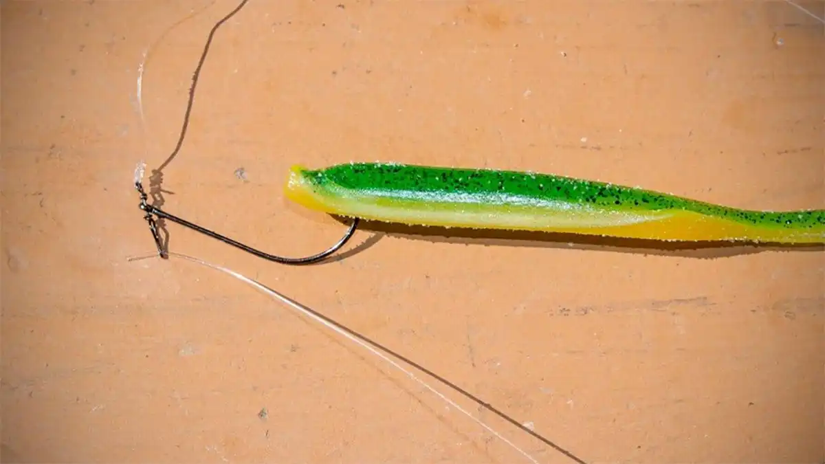 Nose-hooked drop shot bait on a hook