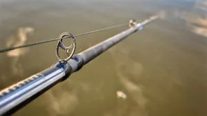 SpiderWire DuraBraid Braided Line Review