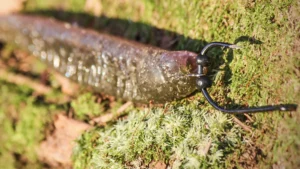 Eagle Claw Lazer Sharp AXS Keeper Drop Shot Hook Review