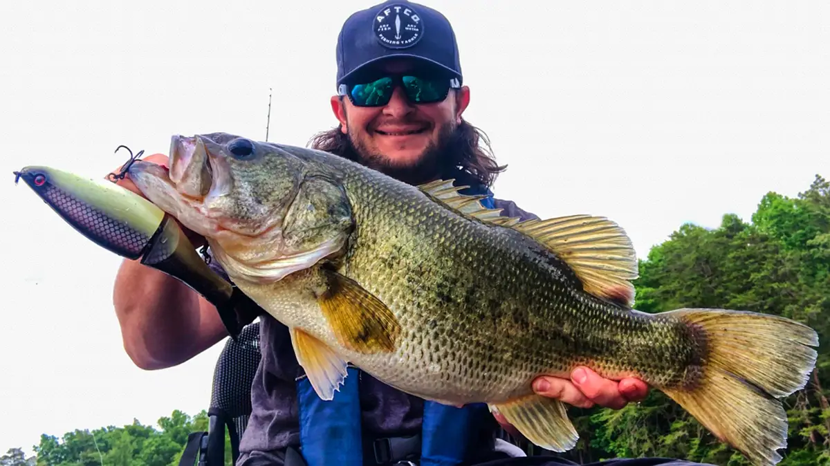 swimbaits 101 big bass on sneak pete glide bait