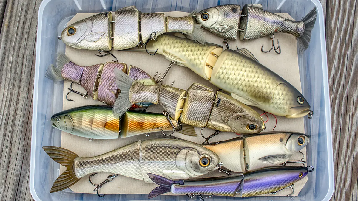 hard swimbait box