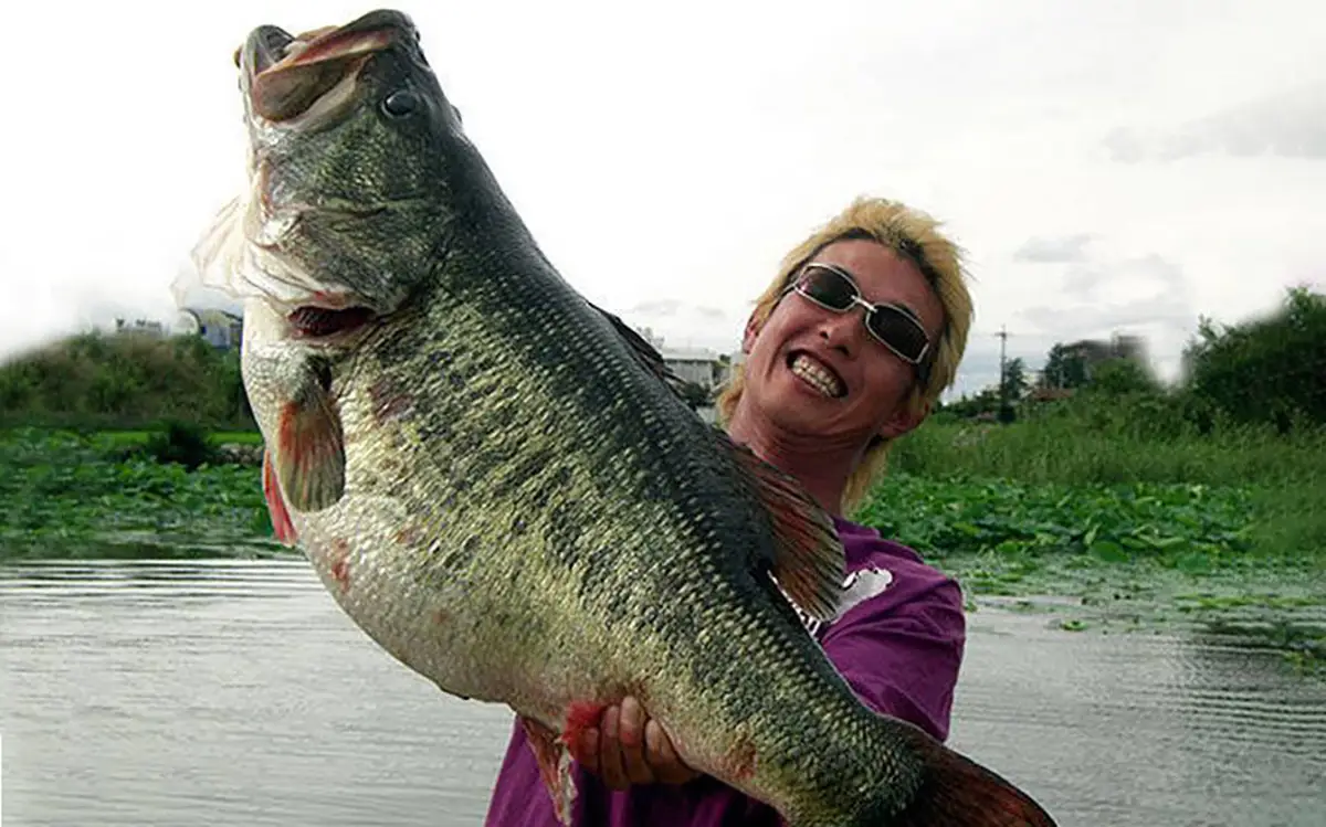 Manabu Kurita's BIWA world record largemouth bass