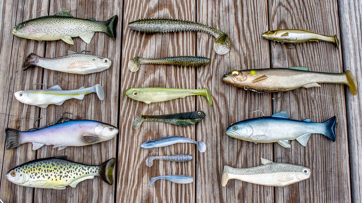 lots of options for soft swimbaits for bass fishing