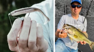 Belly-Weighted Swimbaits | How to Rig and Fish