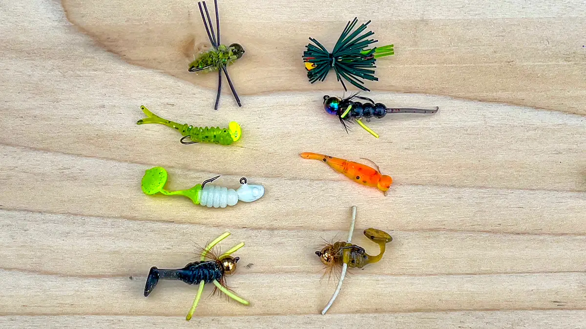 bluegill bugs and jigs