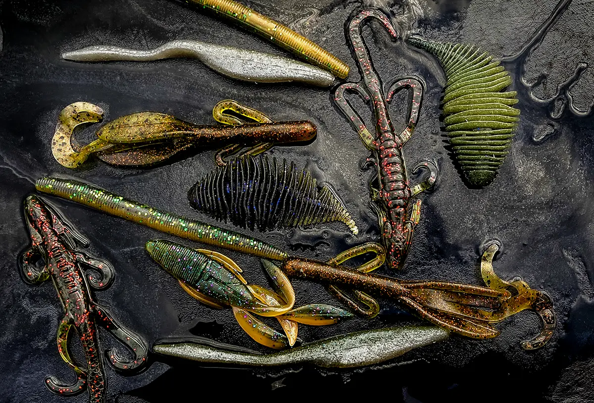 carolina rigging baits