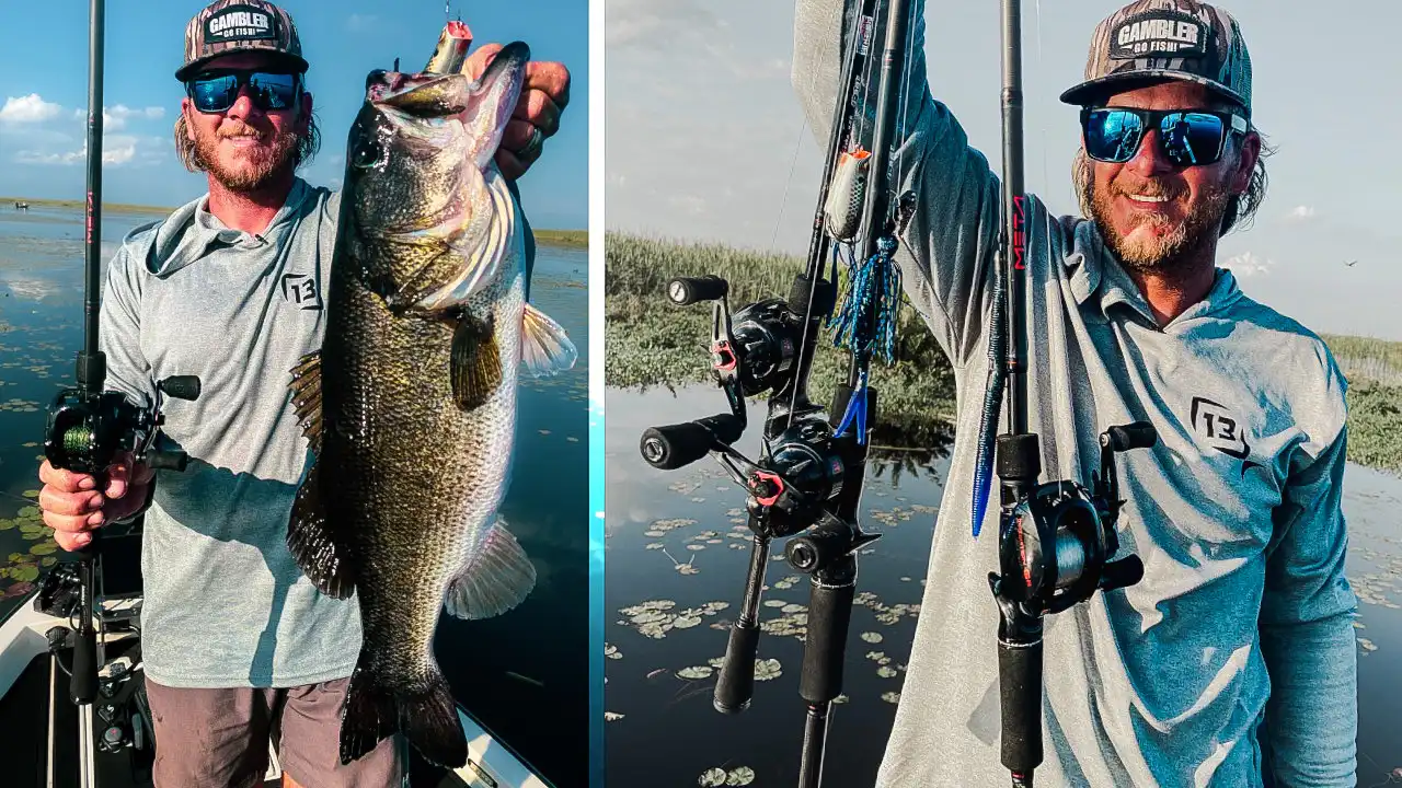 florida-bass-baits