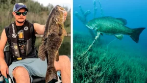 Kayak Bass Fishing Fun in Ultra-Clear Water