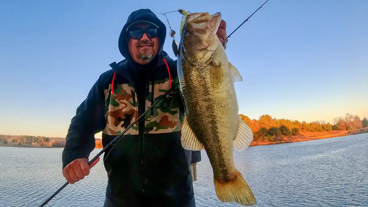 spinnerbait bass on deep wood