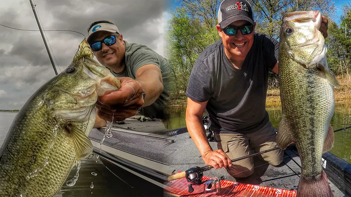 Spring and fall bass fishing