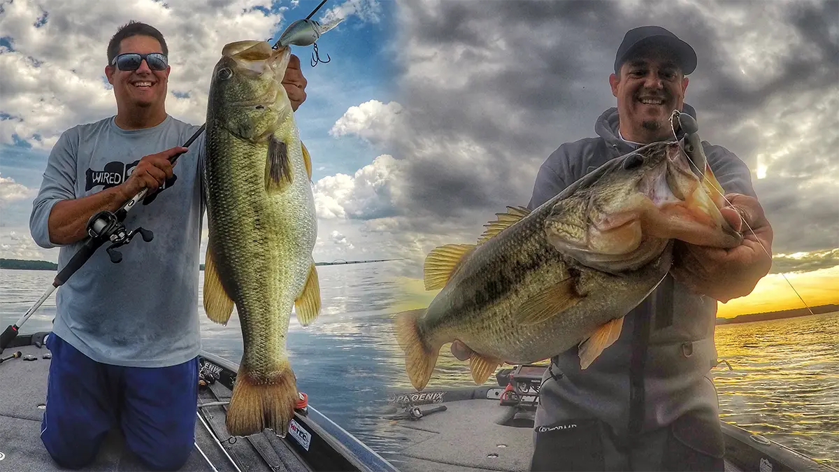 summer and winter fishing