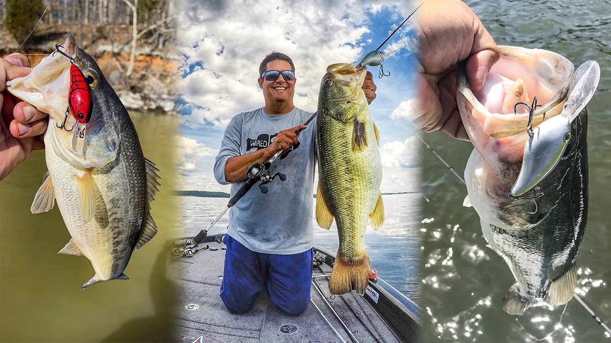 best crankbaits for fishing