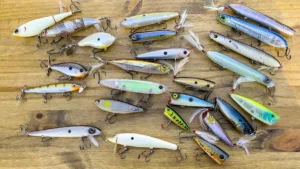Best Topwater Lures for Bass