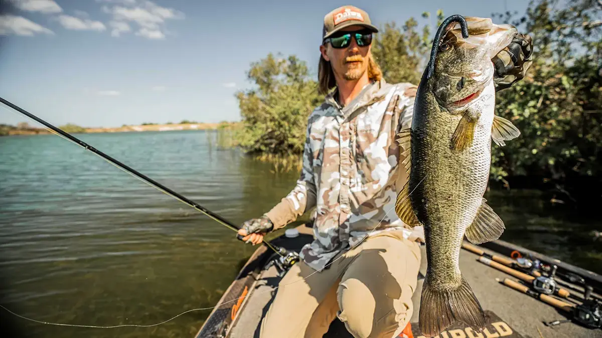 seth feider bang sticking florida bass with redline hooks