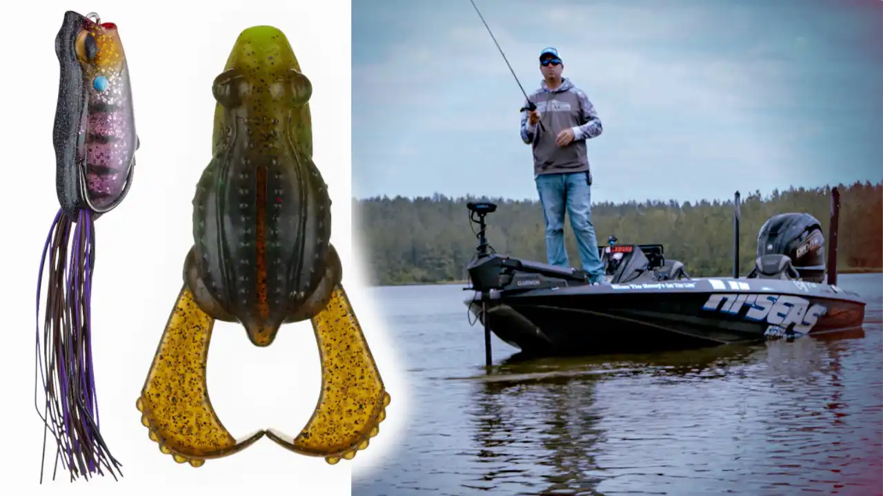 Buzz-frog-hollow-body-frog