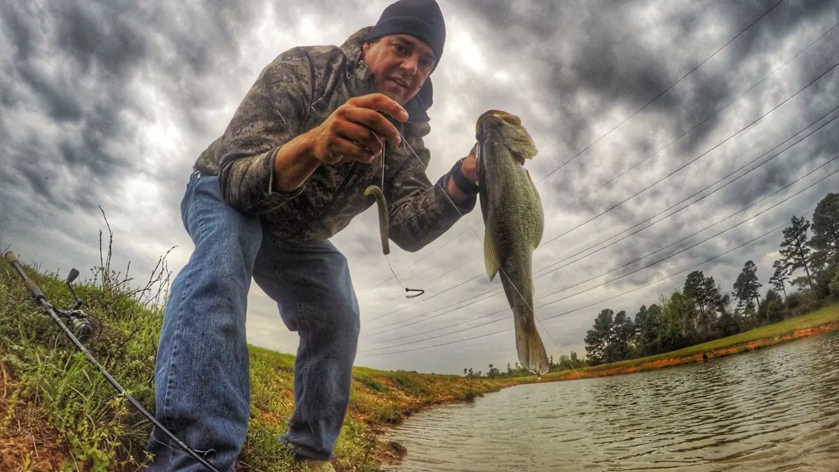 pond fishing with senkos works really well